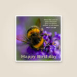 Assorted Scripture Card Pack (Pack of 12)