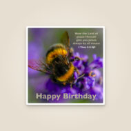 Assorted Scripture Card Pack (Pack of 12)