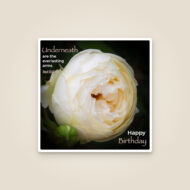 Cream Rose Wedding Card – 'Everlasting Arms'