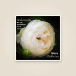 Cream Rose – Everlasting Arms (Greeting Card (Square))