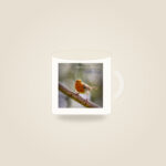 Robin – With Love on Your Birthday (Mug)
