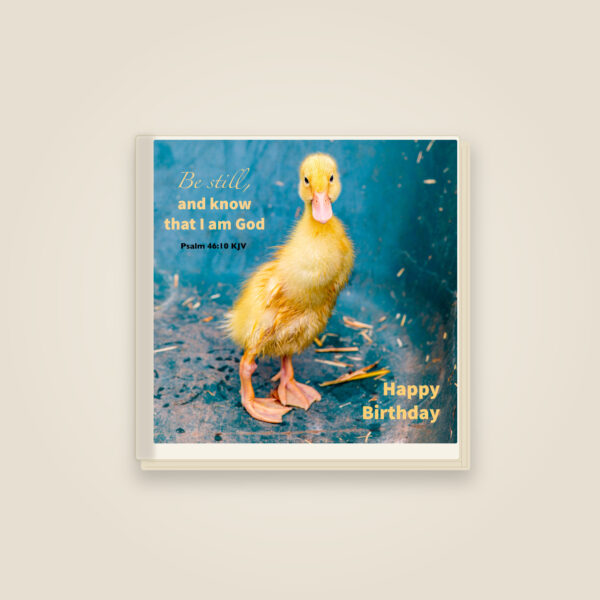 'Be Still' Prayer Journal