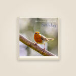 Robin – With Love on Your Birthday (Journal)