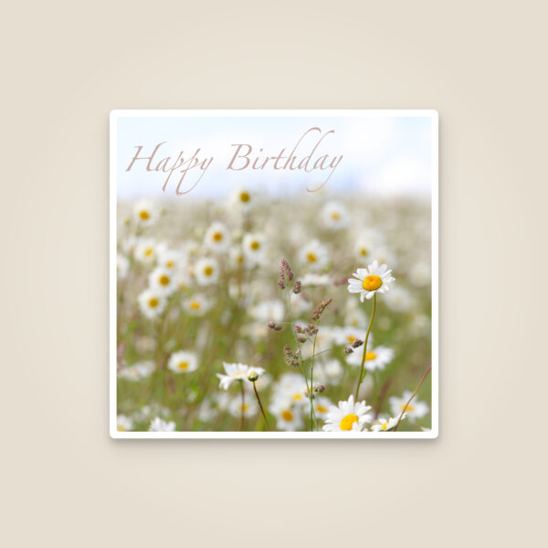 Daisy Meadow Birthday Card