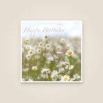 Assorted Occasions Card Pack (Pack of 10)