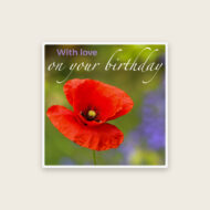 Red Poppy Birthday Card