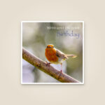 Robin Birthday Card – 'With Love on Your Birthday'