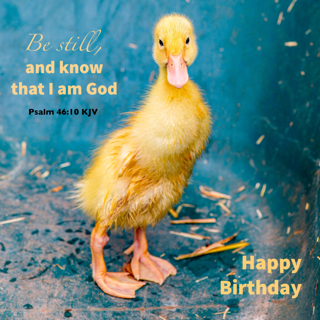 Be still and know — Psalm 46:10 card