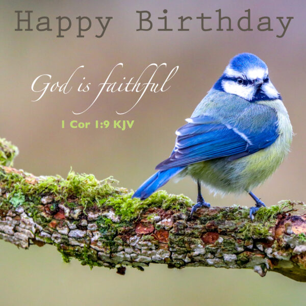 Blue tit card, 1 Corinthians 1:9