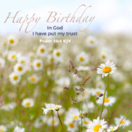 Daisy field card, Psalm 56:4