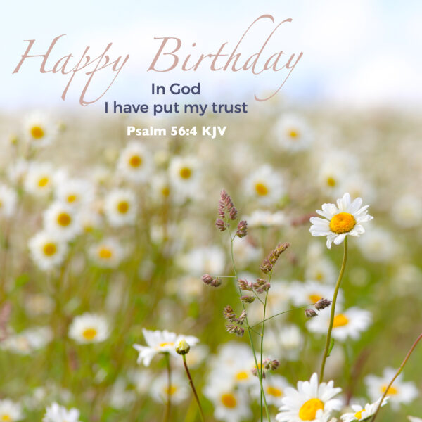 Daisy field card, Psalm 56:4