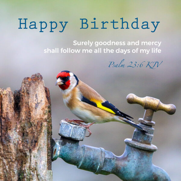 Goldfinch card, Psalm 23:6