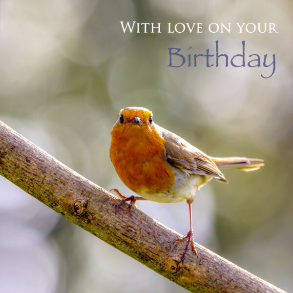 Robin on a branch Christian birthday card
