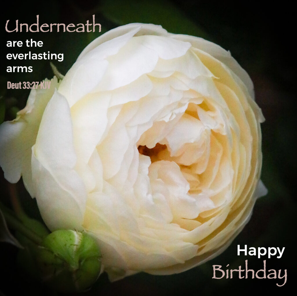 Scripture greeting card