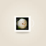 Cream Rose – Everlasting Arms (Mug)