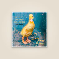 New Life Duckling Easter Card