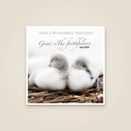 Promise Card – Lamentations 3:23