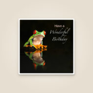 Tree Frog 'Wonderful Birthday' Card
