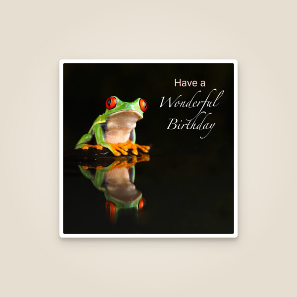 Tree Frog 'Wonderful Birthday' Card