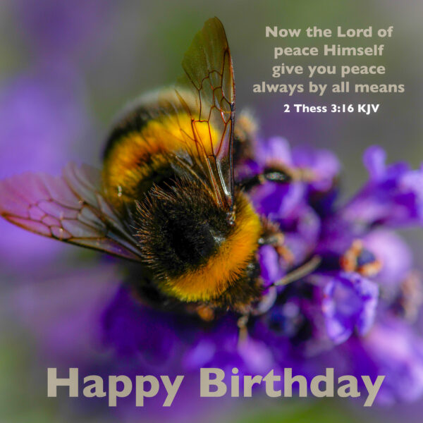 Christian scripture greeting card