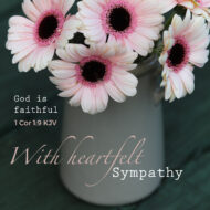 Pink gerbera sympathy card, 1 Cor 1:9